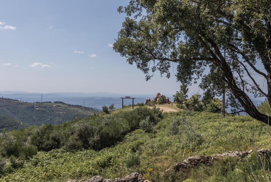 Casa Da Avo Emilia Villa Arganil Dış mekan fotoğraf