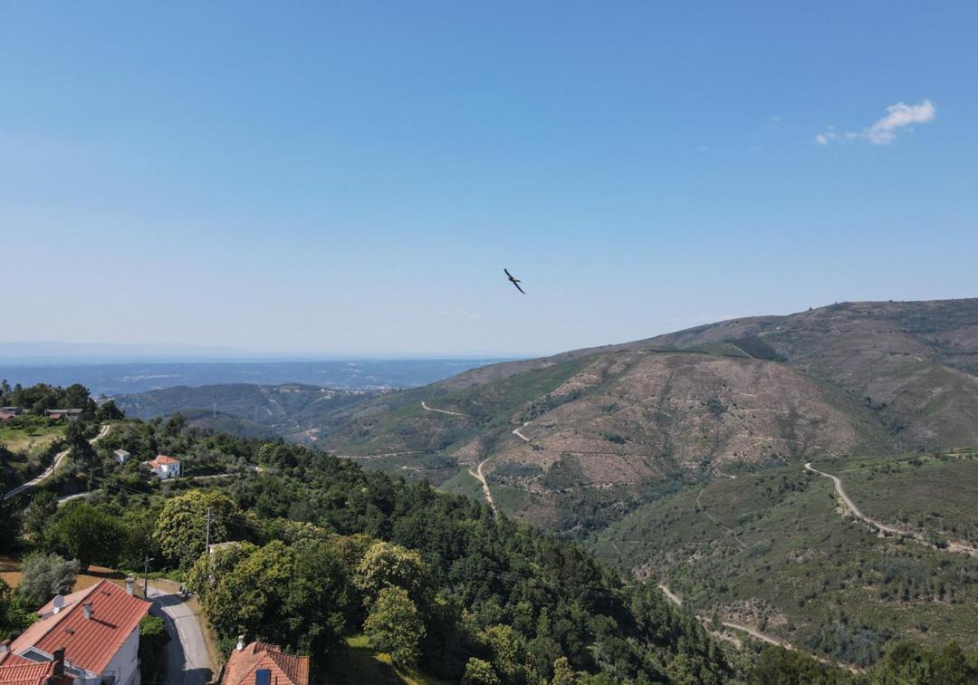 Casa Da Avo Emilia Villa Arganil Dış mekan fotoğraf