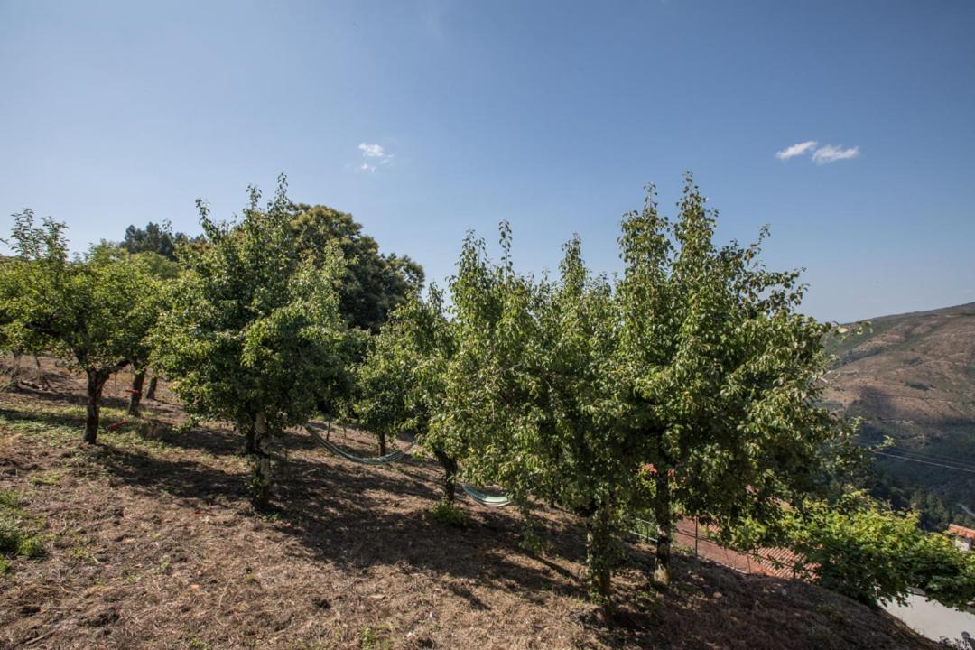 Casa Da Avo Emilia Villa Arganil Dış mekan fotoğraf